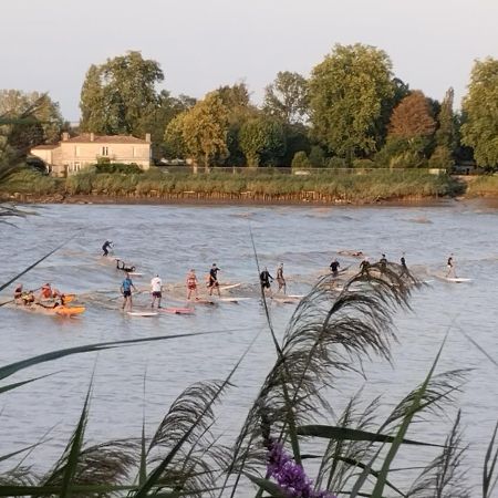 L'Atelier Saint-Sulpice Entre Bordeaux Et St Emilion Bed & Breakfast Luaran gambar