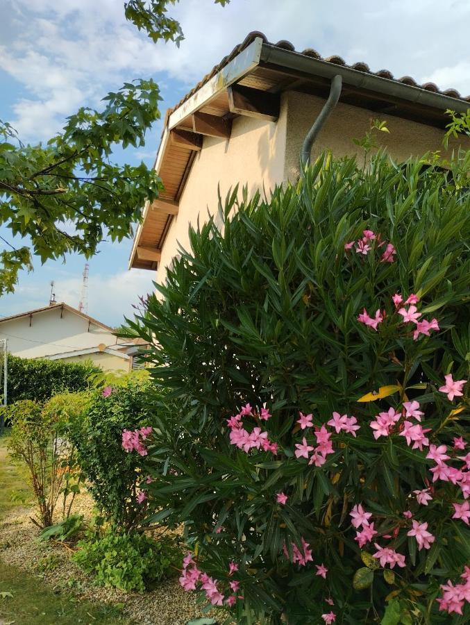 L'Atelier Saint-Sulpice Entre Bordeaux Et St Emilion Bed & Breakfast Luaran gambar
